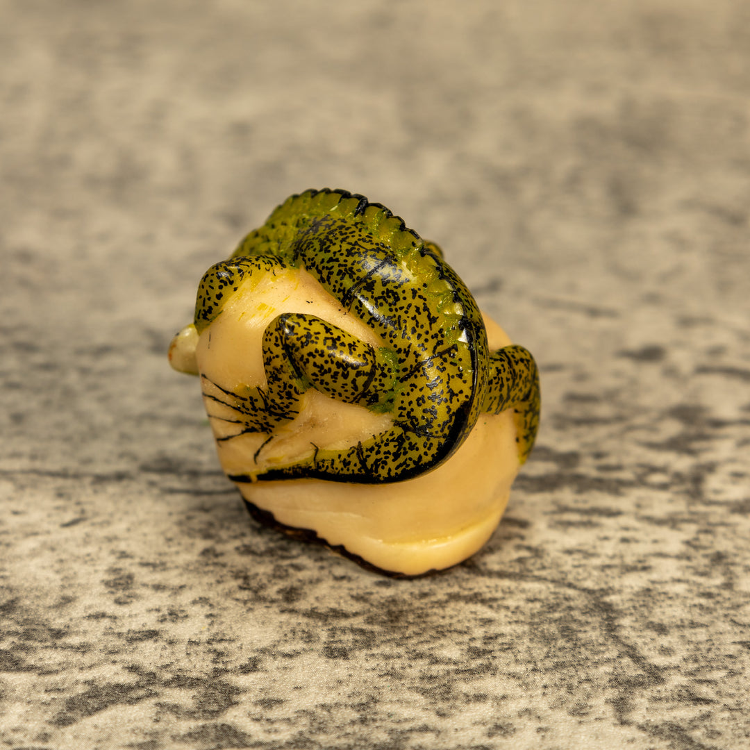 Green Iguana Lizard Tagua Nut Carving