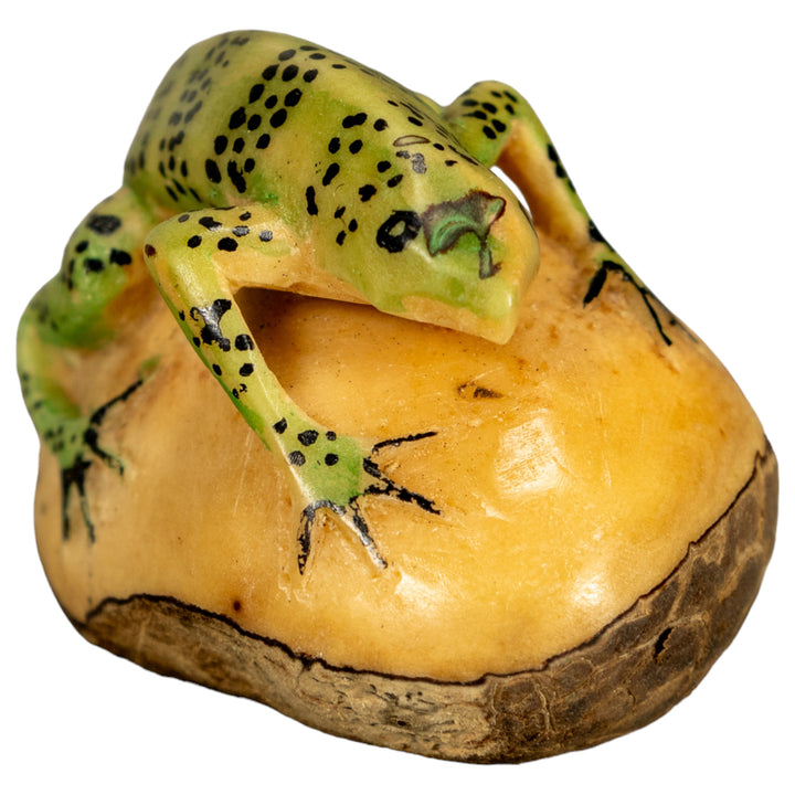Green Iguana Lizard Tagua Nut Carving
