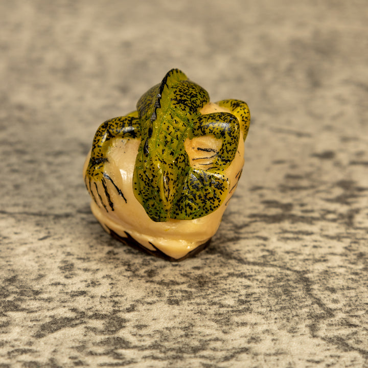 Green Iguana Lizard Tagua Nut Carving