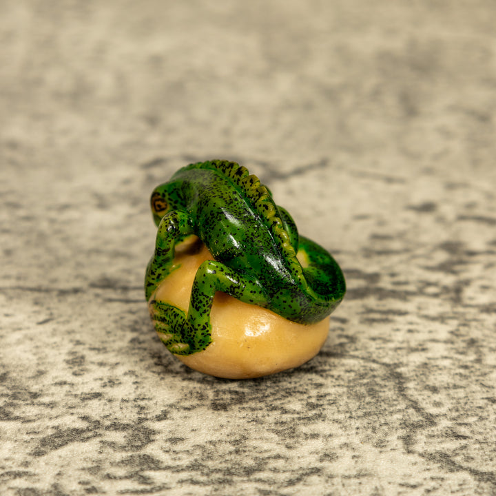 Green Iguana Lizard Tagua Nut Carving