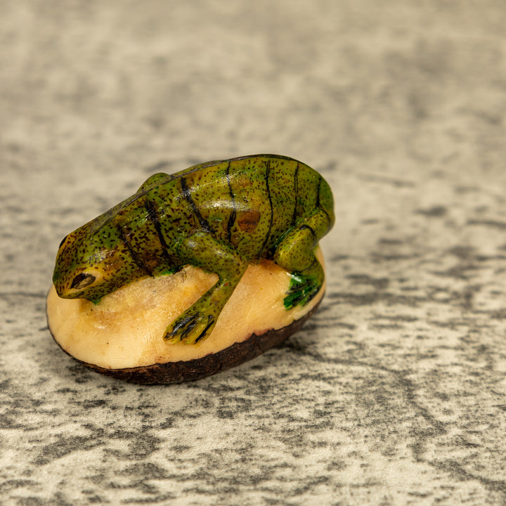 Green Iguana Lizard Tagua Nut Carving