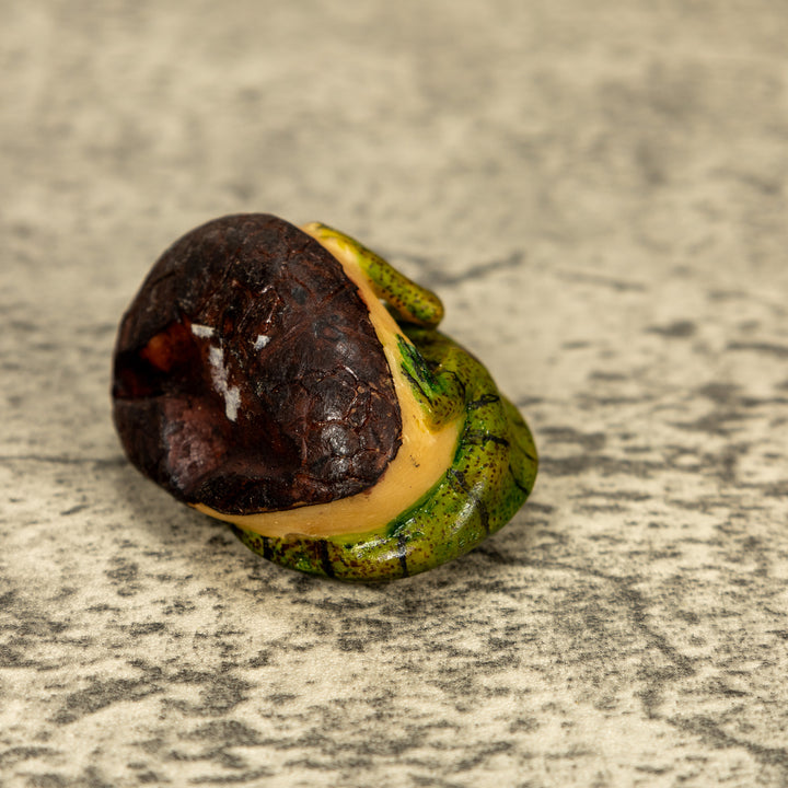 Green Iguana Lizard Tagua Nut Carving