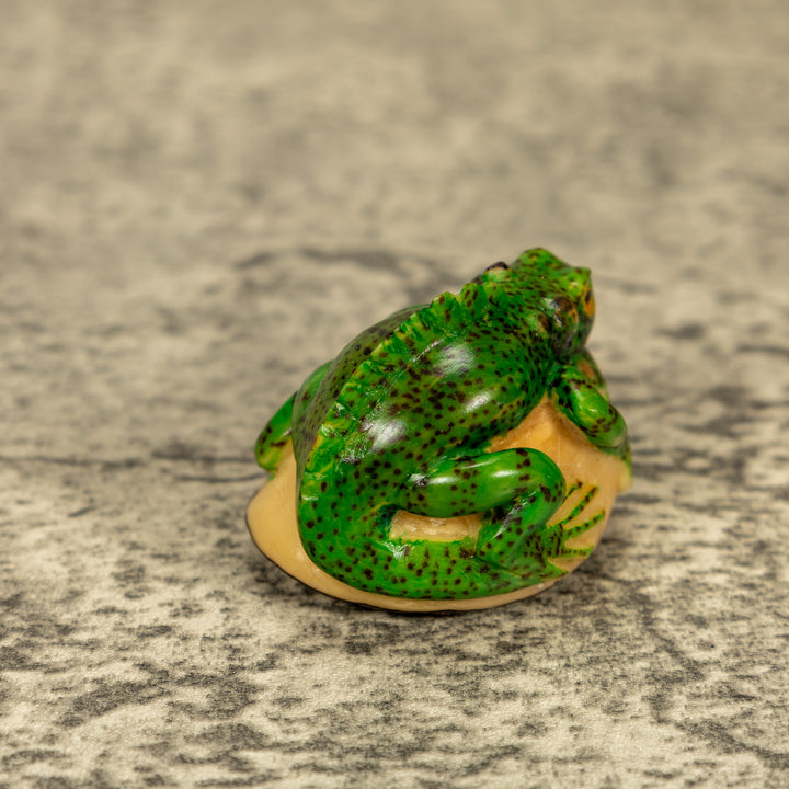 Green Iguana Lizard Tagua Nut Carving