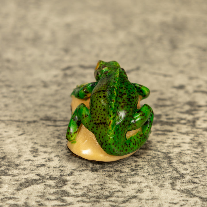 Green Iguana Lizard Tagua Nut Carving