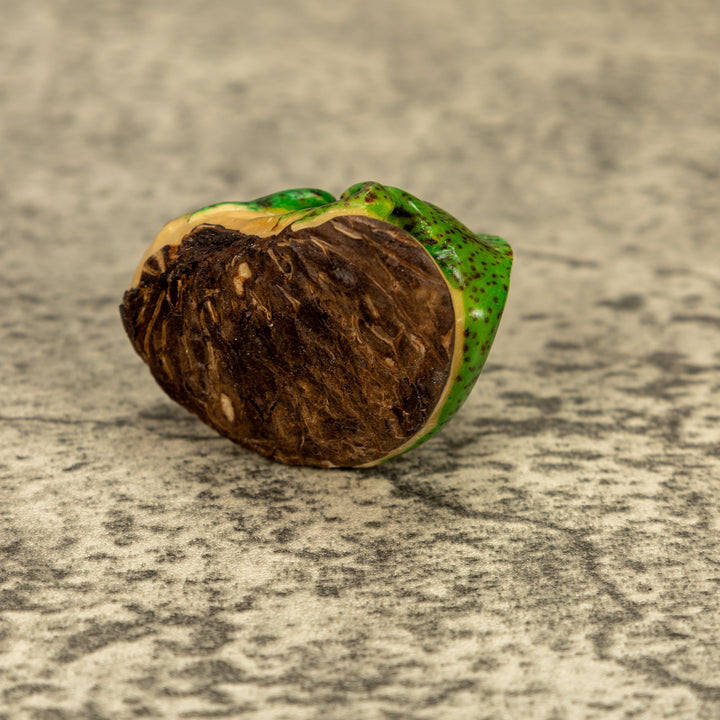 Green Iguana Lizard Tagua Nut Carving