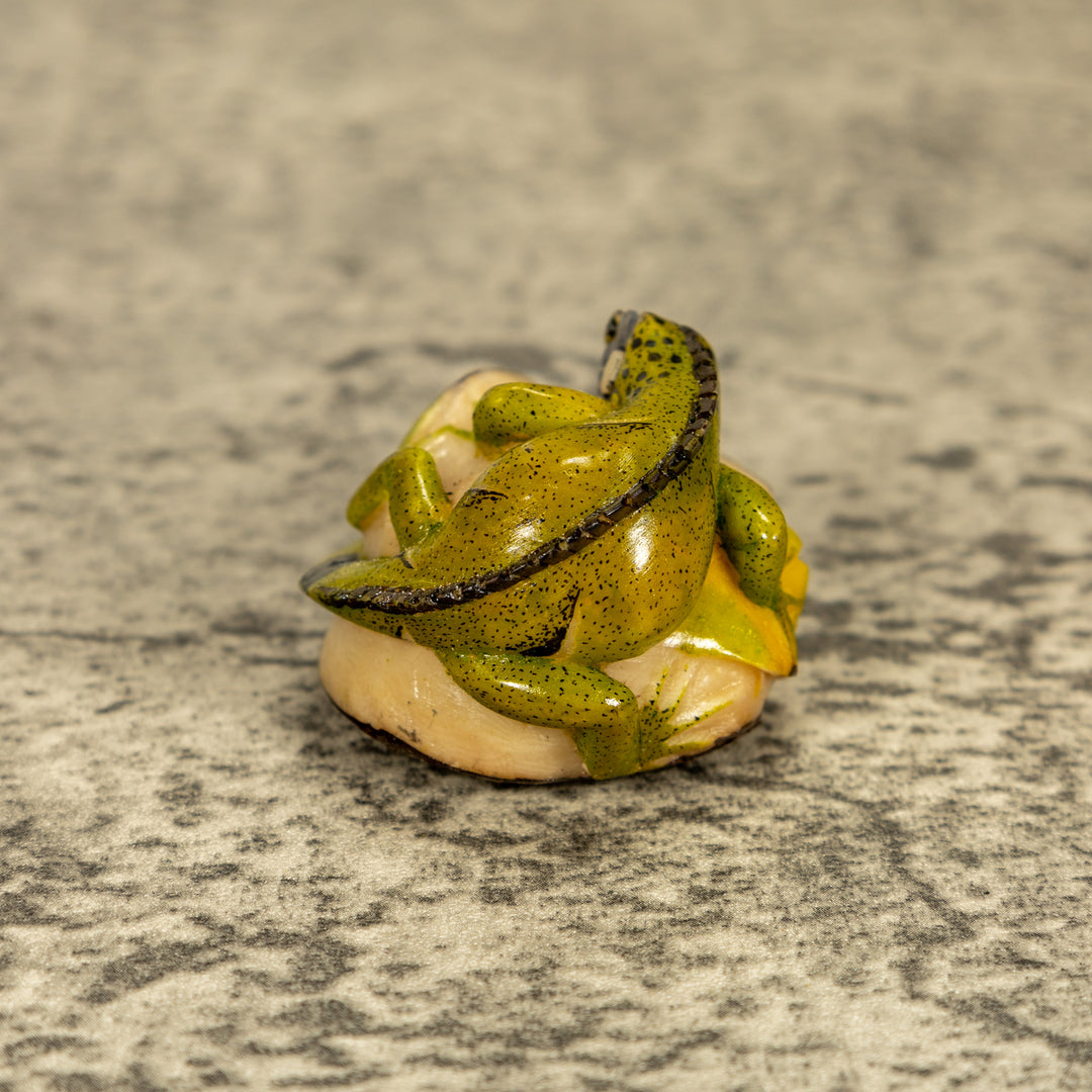 Green Iguana Lizard Tagua Nut Carving