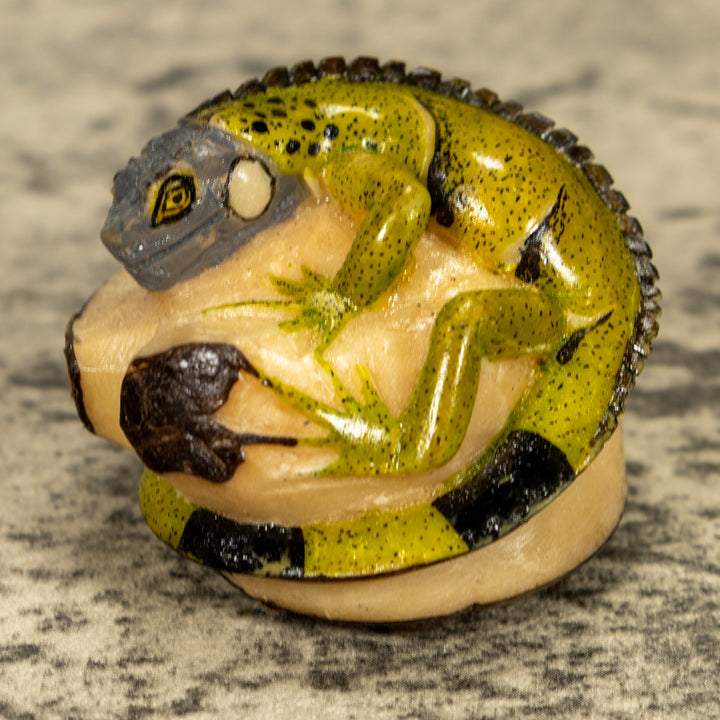 Green Iguana Lizard Tagua Nut Carving