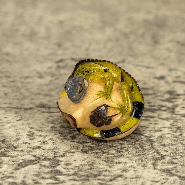 Green Iguana Lizard Tagua Nut Carving