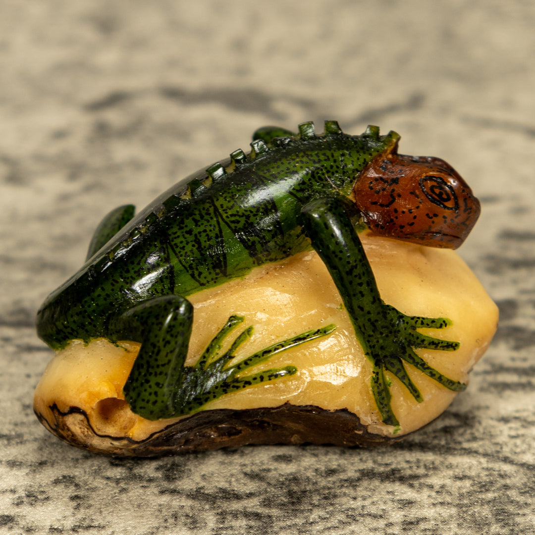 Green Iguana Lizard Tagua Nut Carving
