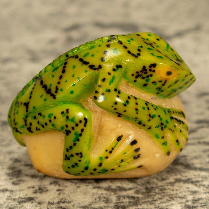 Green Iguana Lizard Tagua Nut Carving