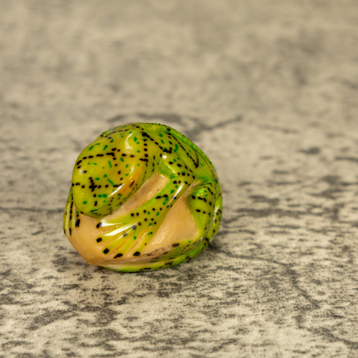 Green Iguana Lizard Tagua Nut Carving