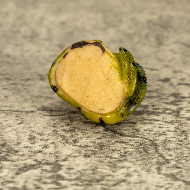 Green Iguana Lizard Tagua Nut Carving
