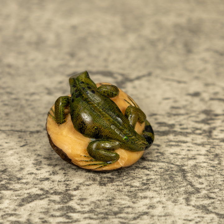 Green Iguana Lizard Tagua Nut Carving