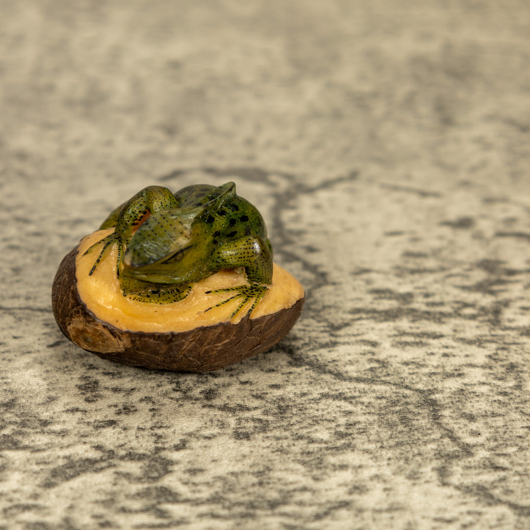 Green Iguana Lizard Tagua Nut Carving