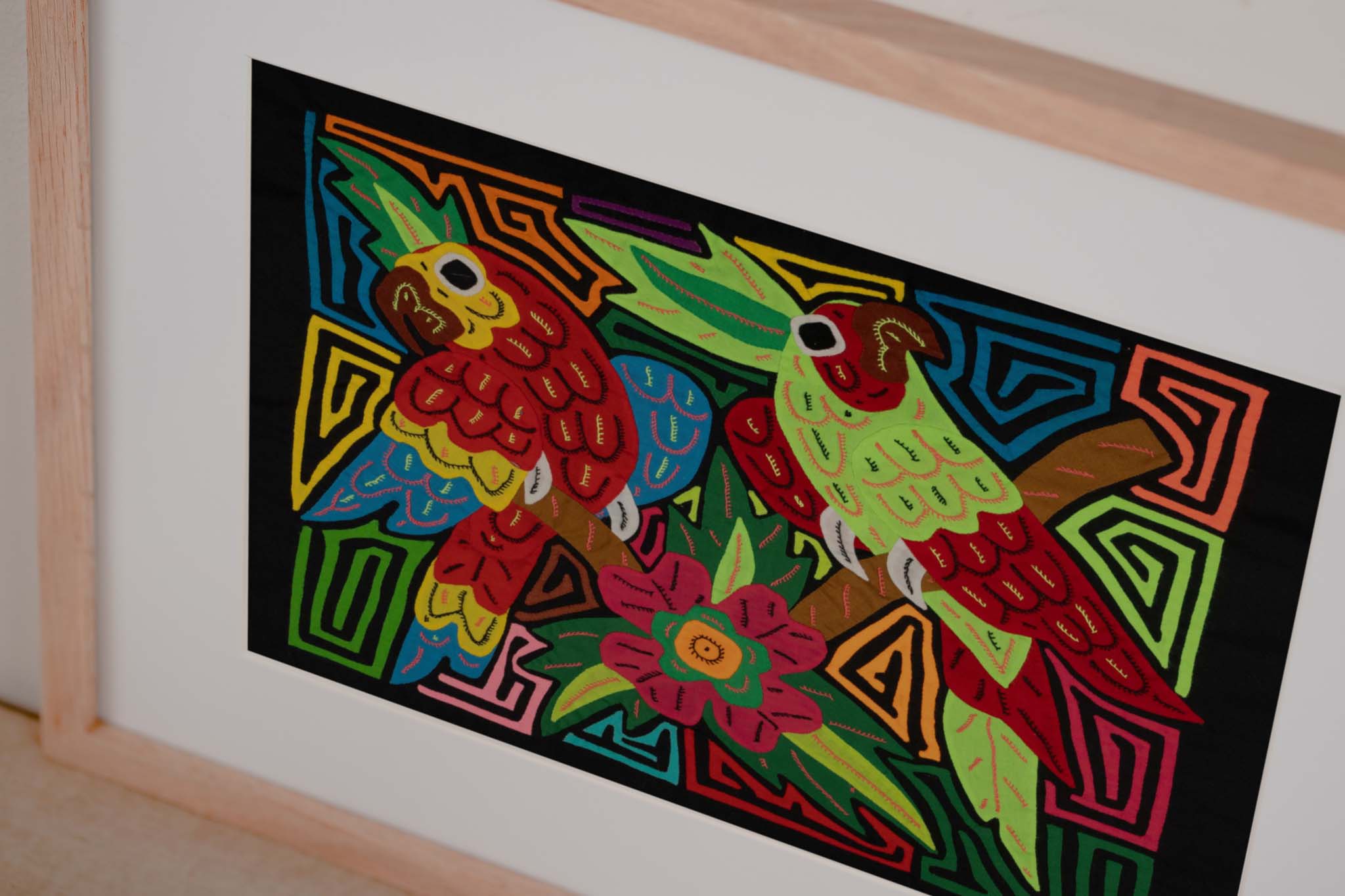 Green And Red Macaw Parrot Bird Mola