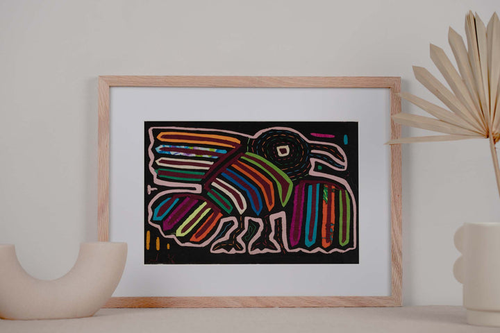 Black And Rainbow Initial Flight Bird Mola