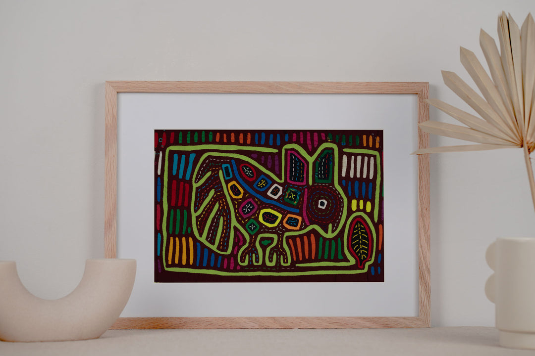 Tropical Jungle Rabbit Hare Mola