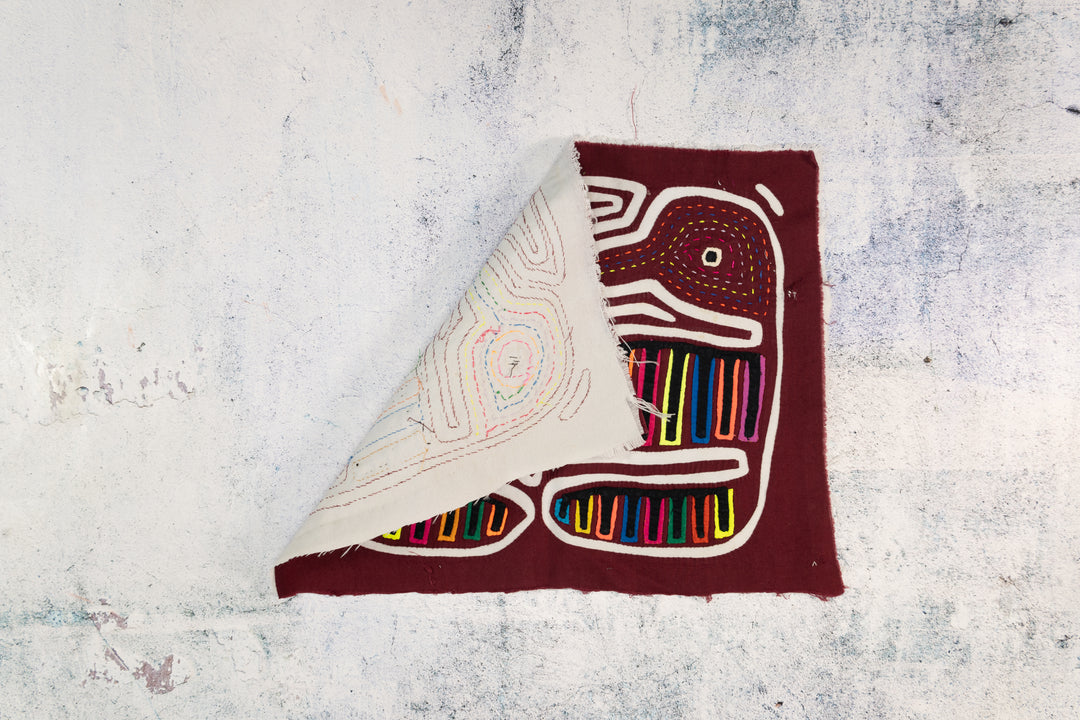 Maroon And White Gossip Bird Mola