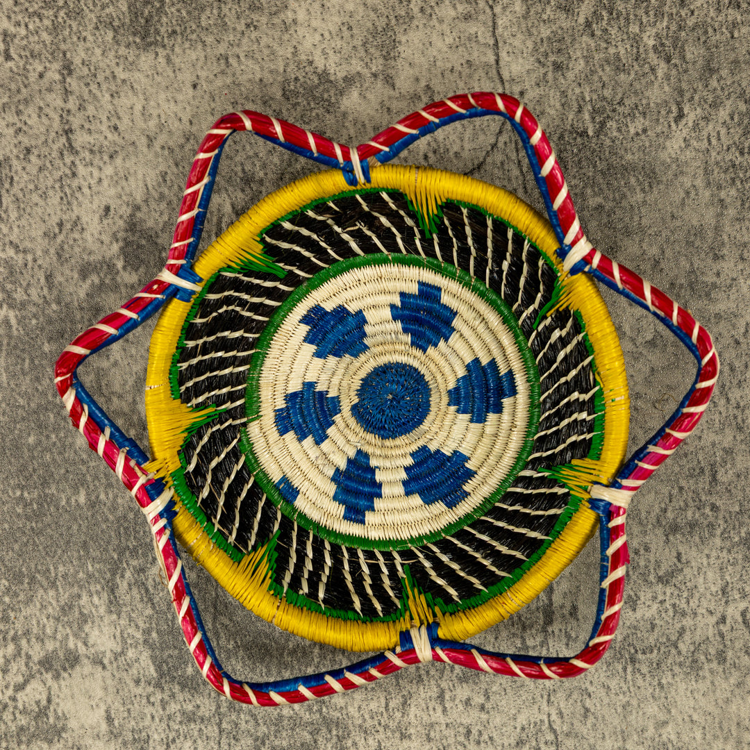 New Design Multicolor Hand Woven Bowl Basket