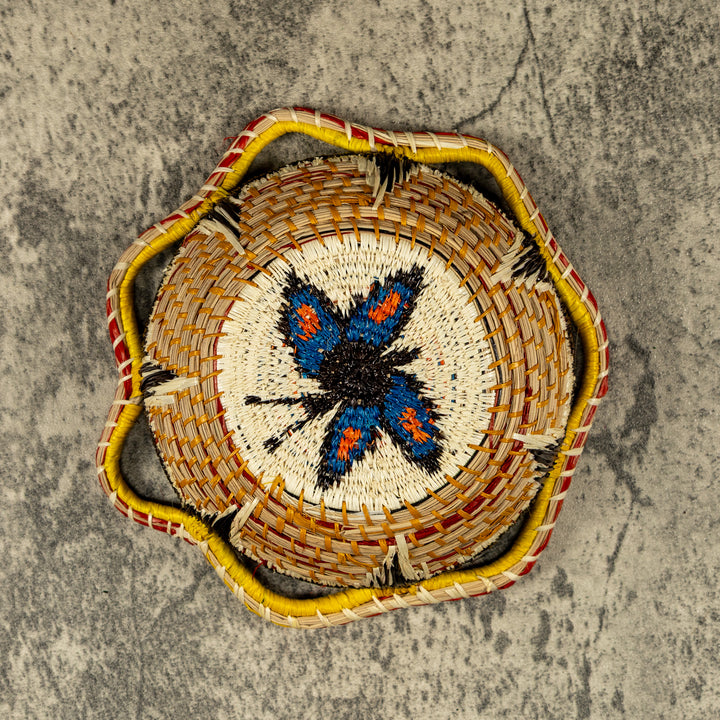 New Design Butterfly Hand Woven Bowl Basket