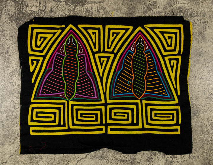 Black And Yellow Rainforest Moth Mola