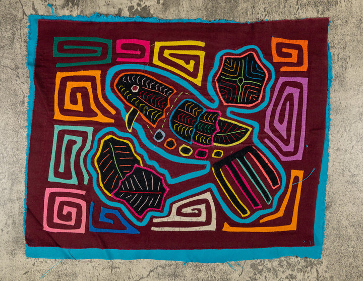 Tiny Beak Turquoise Parrot Mola