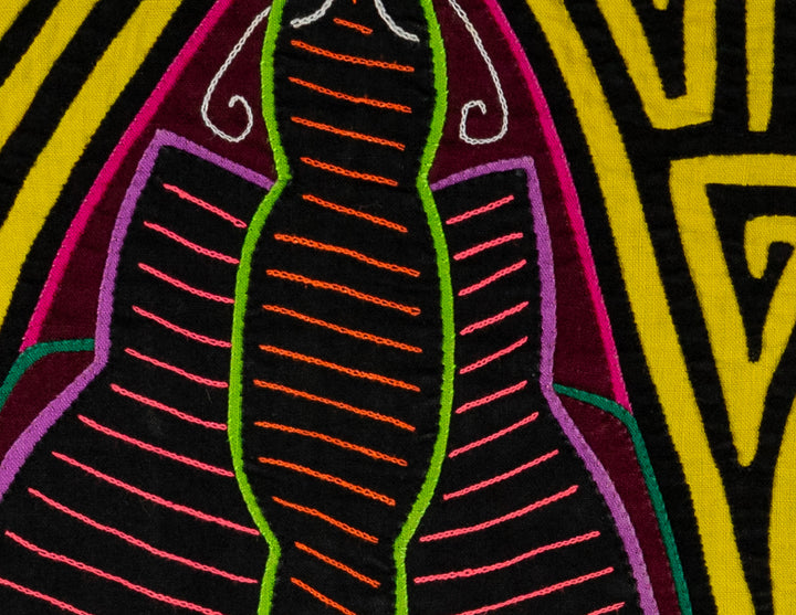 Black And Yellow Rainforest Moth Mola