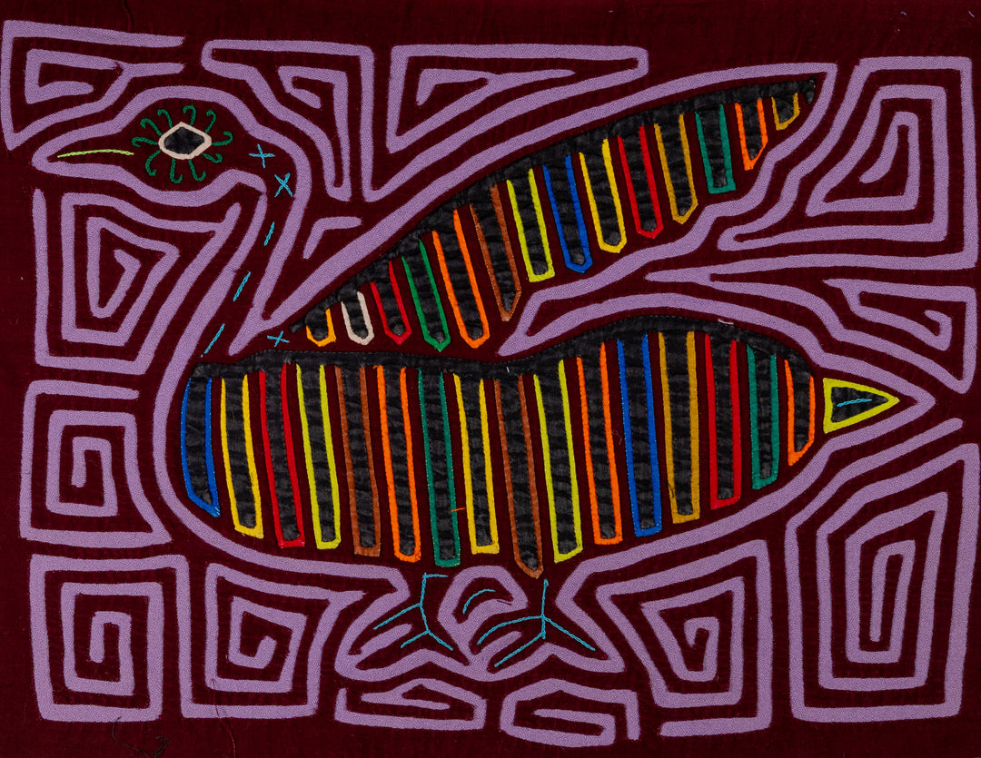 Purple Swan From The Royal Lake Mola