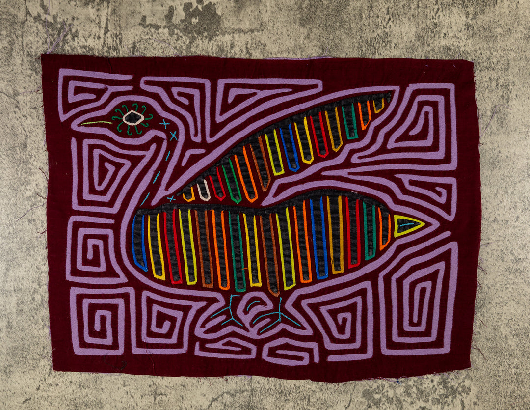 Purple Swan From The Royal Lake Mola