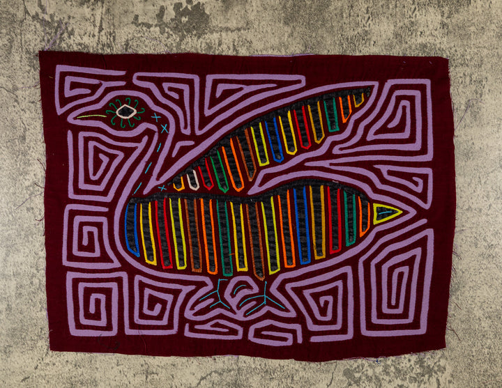 Purple Swan From The Royal Lake Mola