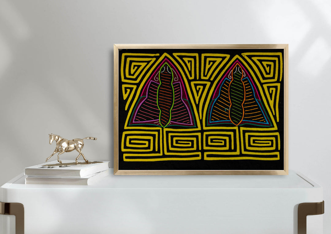 Black And Yellow Rainforest Moth Mola