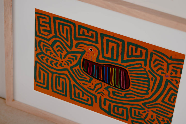Orange And Green Partridge In Tree Mola