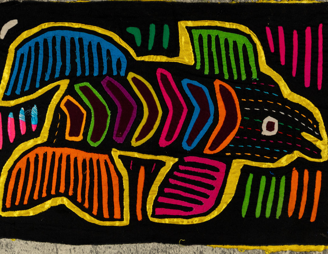 Yellow Tuna Fish Of The Sea Mola