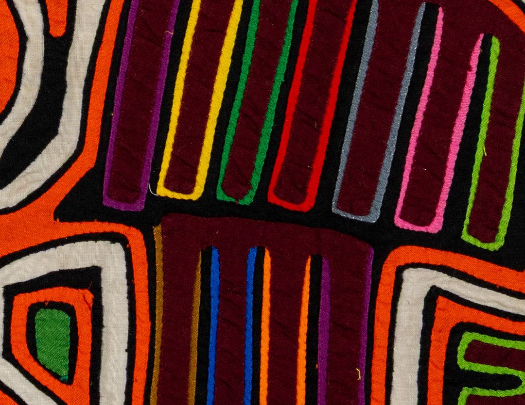 Orange And White Crested Critter Of The Rainforest Mola