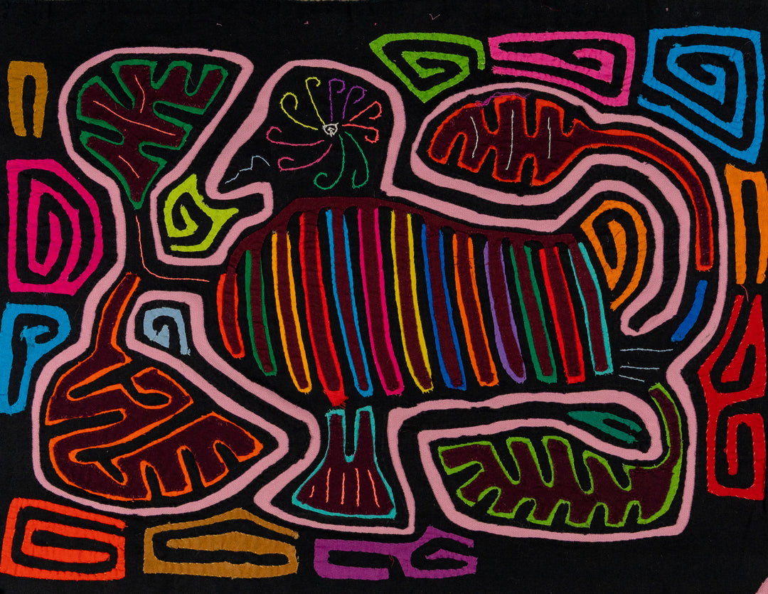 Black And Pink Dude Around Town Mola