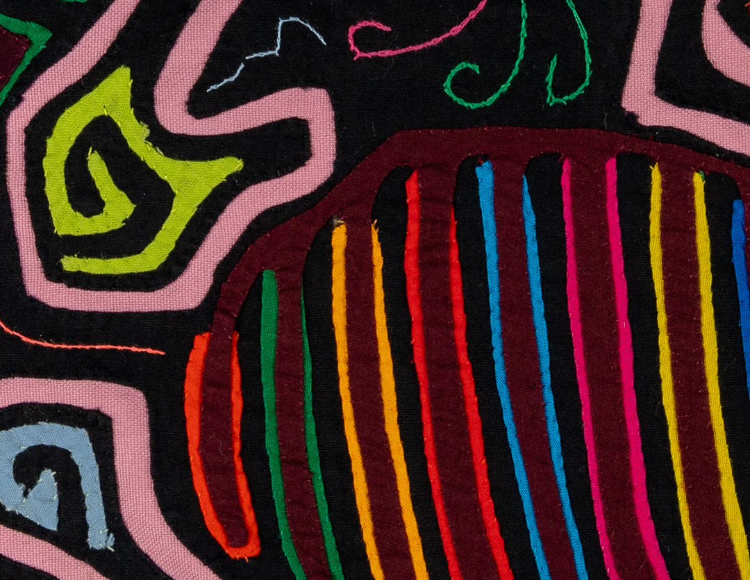 Black And Pink Dude Around Town Mola