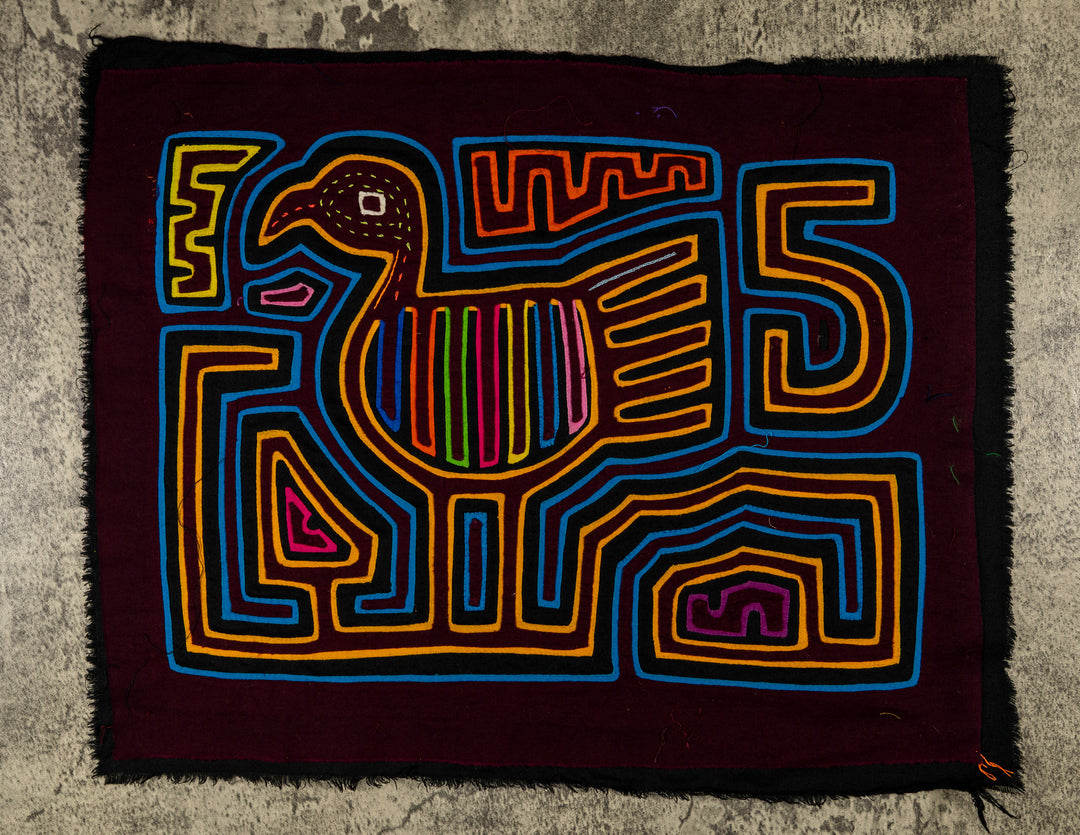 Number Five In Carrier Pigeon Race Mola