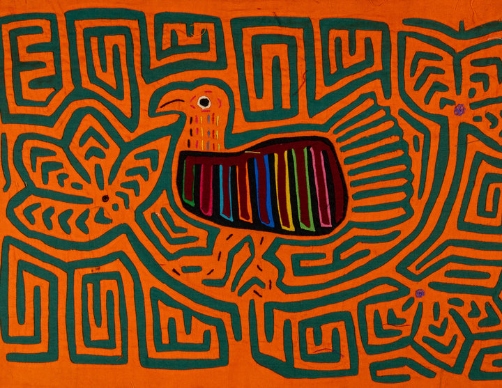 Orange And Green Partridge In Tree Mola
