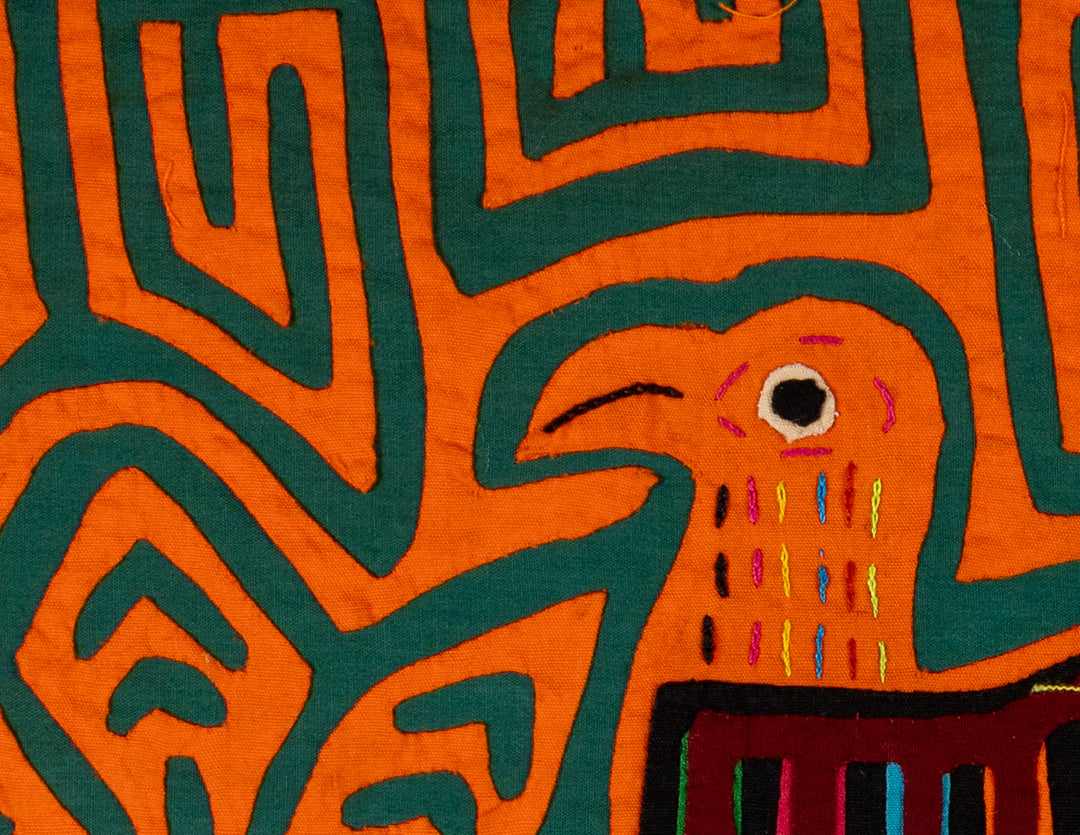 Orange And Green Partridge In Tree Mola