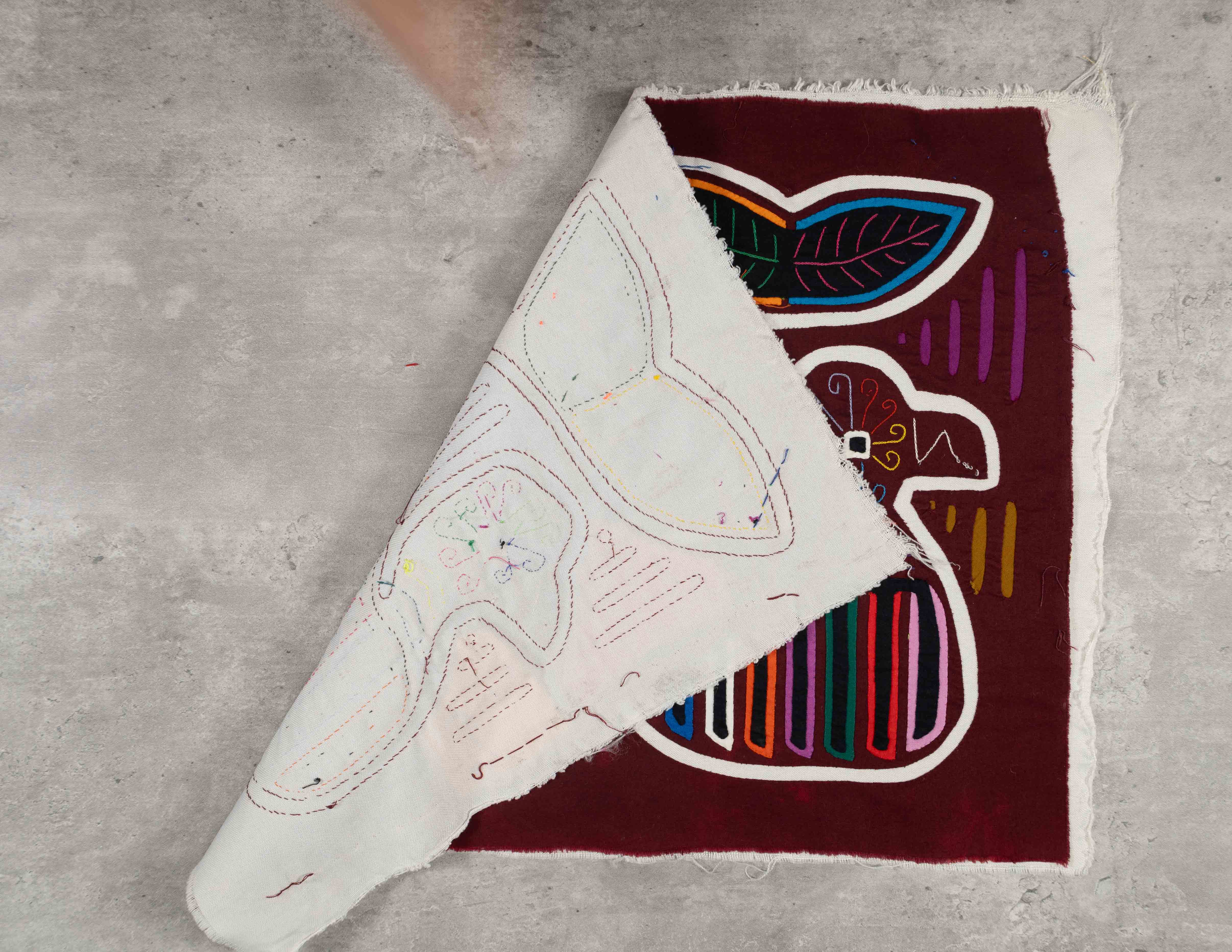 Maroon And White Whale Of A Tale About Tail Mola