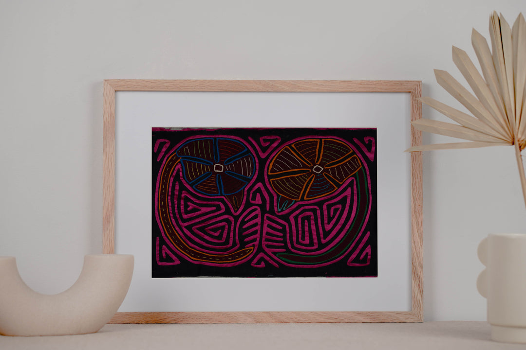 Black And Pink Twin Embryo Mola