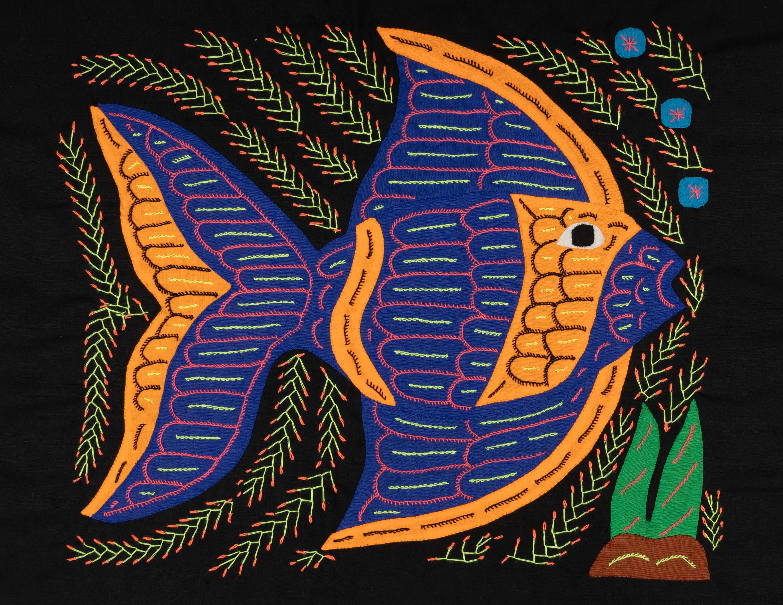 Orange And Blue Tropical Angel Fish Mola