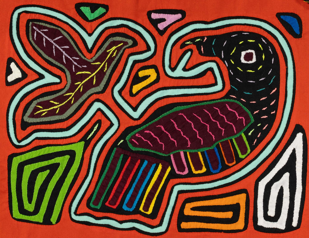 Orange And aqua Rainforest Parrot Bird Mola