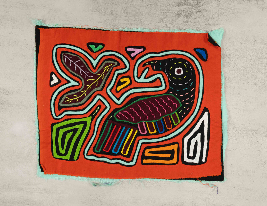 Orange And aqua Rainforest Parrot Bird Mola