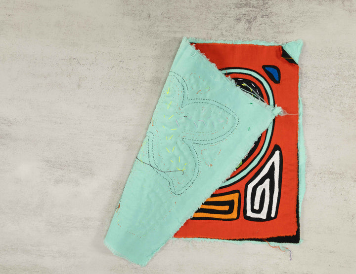 Orange And aqua Rainforest Parrot Bird Mola