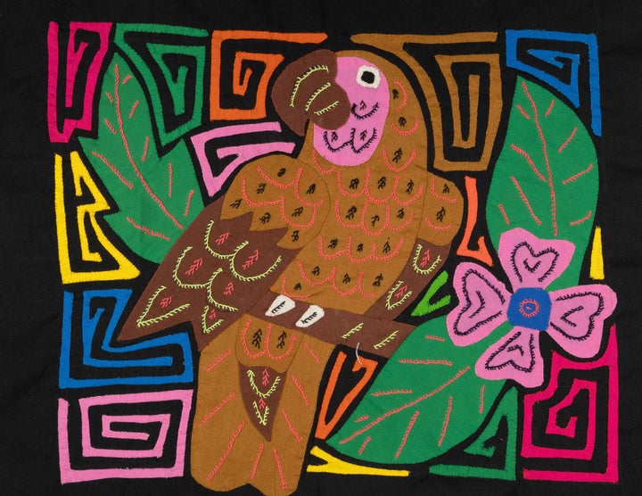 Brown Parrot Bird Mola