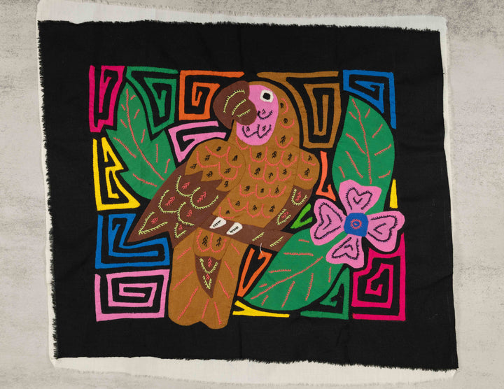 Brown Parrot Bird Mola