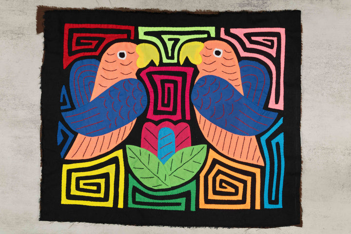 Two Orange And Blue Rainforest Parrot Mola