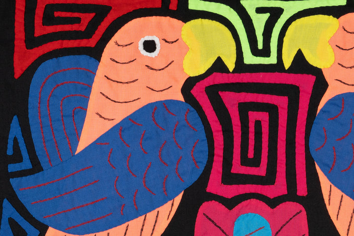 Two Orange And Blue Rainforest Parrot Mola