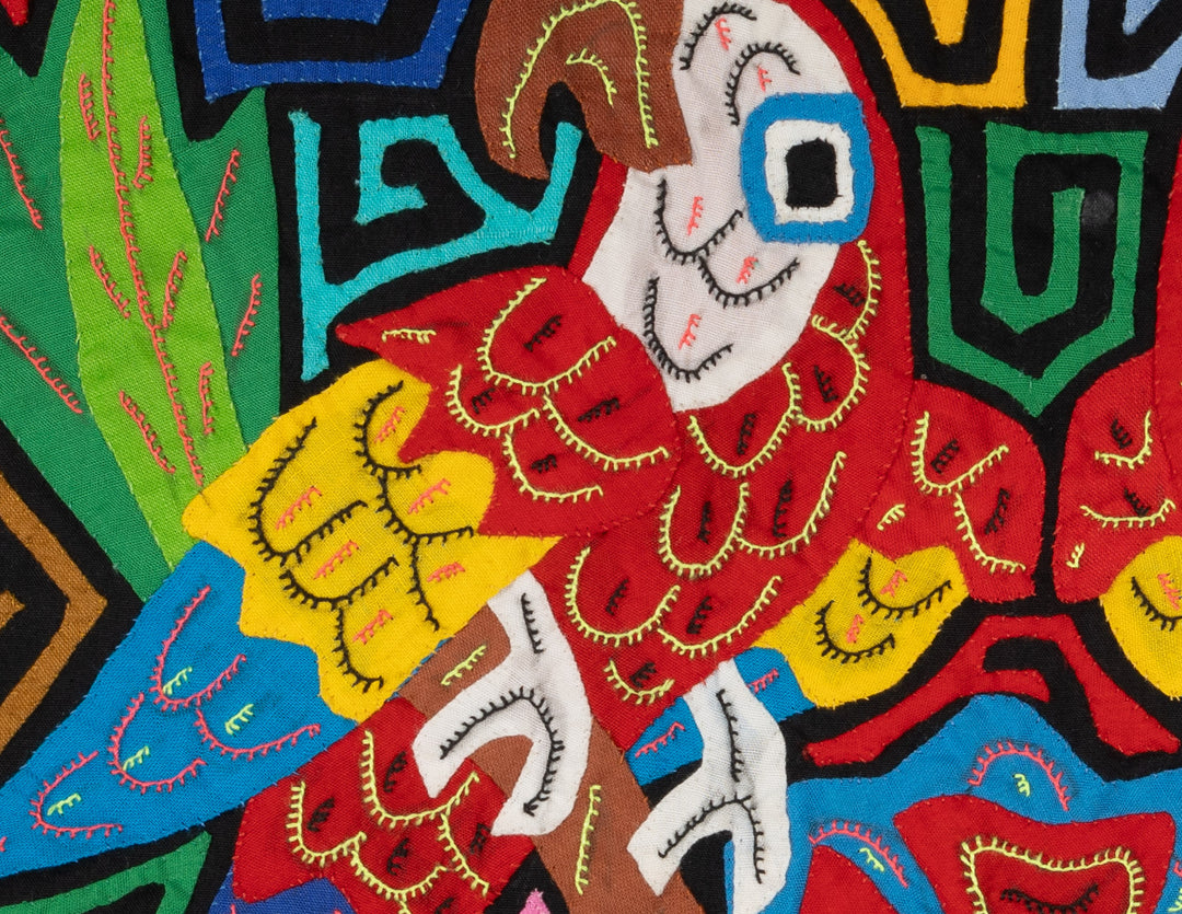 Two Macaw Parrot Bird Mola